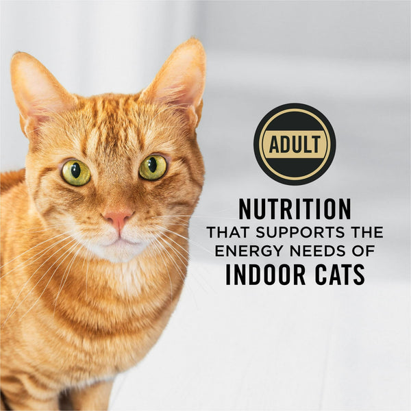 Purina Pro Plan Indoor Hairball Turkey & Rice Adult Dry Cat Food
