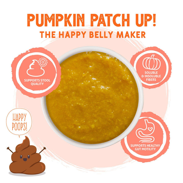 Weruva Pumpkin Patch Up Pumpkin with Ginger & Turmeric Dog & Cat Supplement
