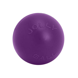 Jolly Pets Push-n-Play Dog Toy, Purple