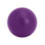 Jolly Pets Push-n-Play Dog Toy, Purple