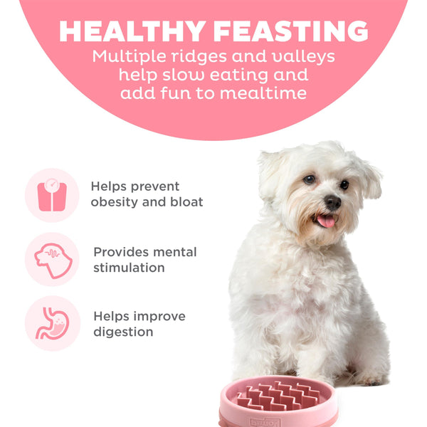 Outward Hound Fun Feeder Slo Bowl Gamelle à alimentation lente pour chiens, rose.