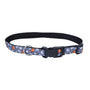 Styles Collar, Foxes