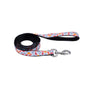 Styles Laisse pour chien, Dinosaures