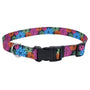 Styles Adjustable Dog Collar, Wildflower