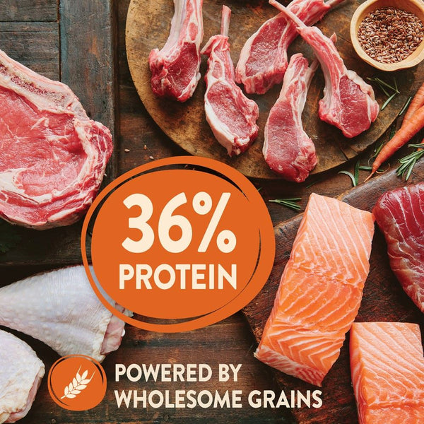 Wellness CORE Wholesome Grains High Protein Puppy Dry Dog Food