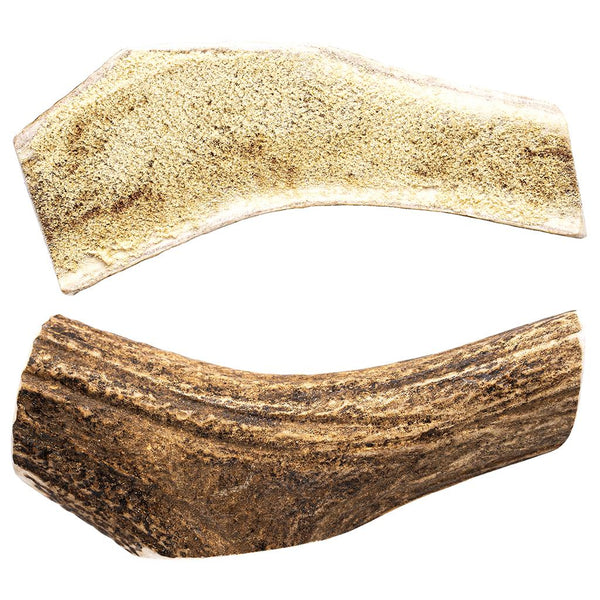 This & That Maple Bacon Enhanced Antler Chew Dog Treats
