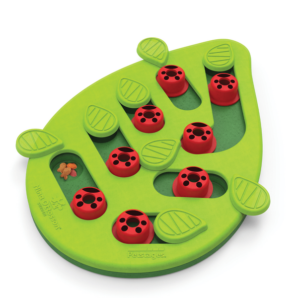 Outward Hound Nina Ottosson Puzzle & Play Buggin' Out Interactive Treat Puzzle Cat Toy