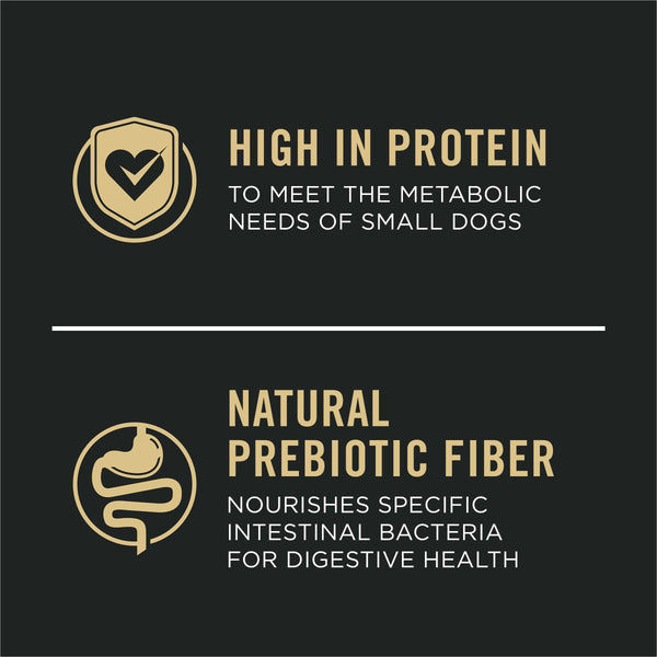 Purina Pro Plan Sensitive Skin & Stomach Salmon & Rice Small Breed Adult Dry Dog Food