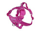 RC Pets Harnais de contrôle Momentum, Fuchsia