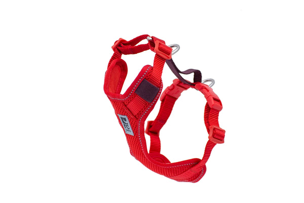 RC Pets Moto Control Dog Harness, Goji Berry/Burgundy