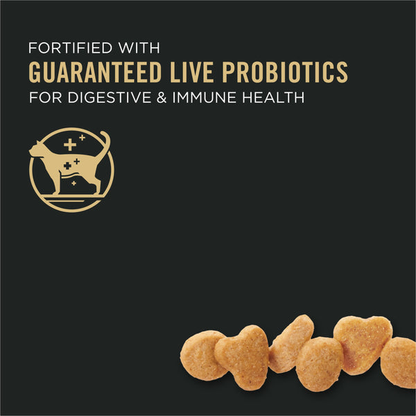 Purina Pro Plan Focus Adulte Peau et Estomac Sensibles Formule Agneau et Riz Croquettes pour chats