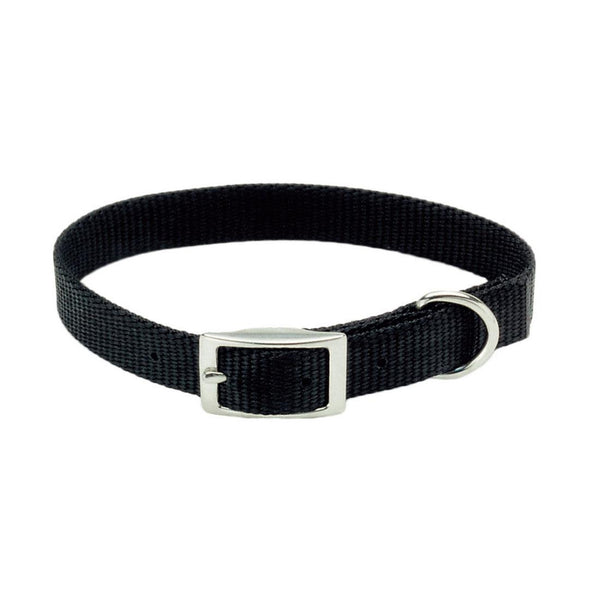Coastal Single-Ply Dog Collar, Black