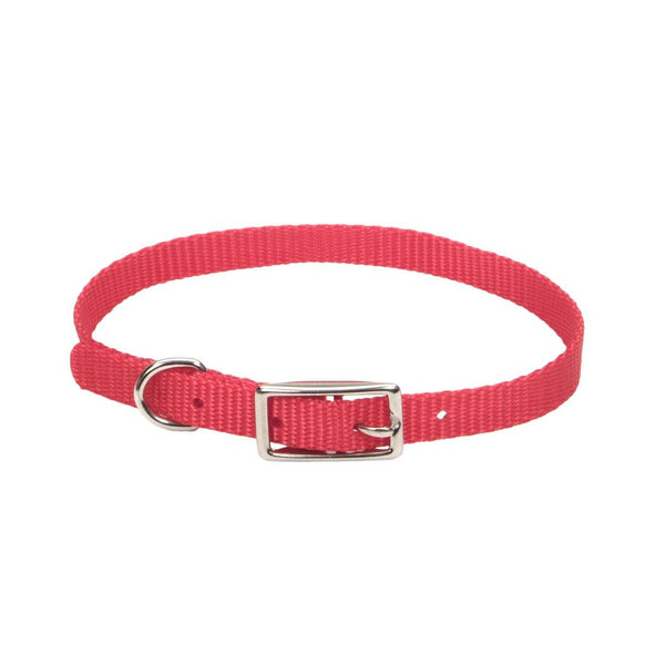 Coastal Collier simple pour chien, Rouge