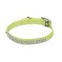 Coastal Collier pour chien avec bijoux, Citron vert