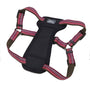 K9 Explorer Reflective Adjustable Padded Dog Harness, Berry