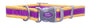 Pro Reflective Collar, Purple Orange