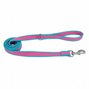 Pro Nylon Leash, Fuscia Teal