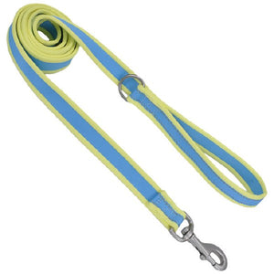 Pro Nylon Leash, Aqua Yellow