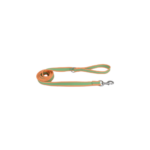 Pro Nylon Leash, Lime Orange