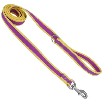 Pro Nylon Leash, Purple Yellow