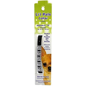 Li'l Pals Nylon Jewel Collar, Black