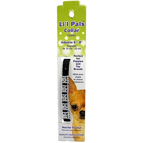 Li'l Pals Nylon Jewel Collar, Black