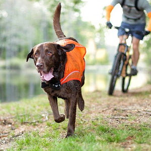 Kurgo Reflective Vest with LED Lights, Orange