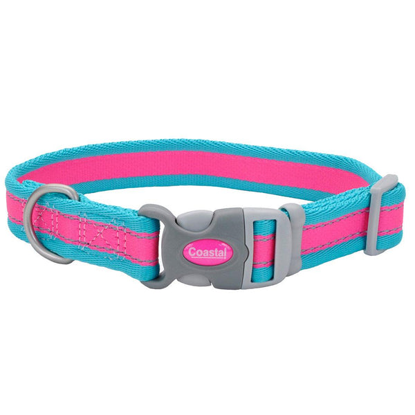 Coastal Pro Reflective Adjustable Dog Collar, Fuscia/Teal