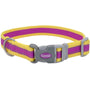 Coastal Pro Reflective Adjustable Dog Collar, Purple/Yellow
