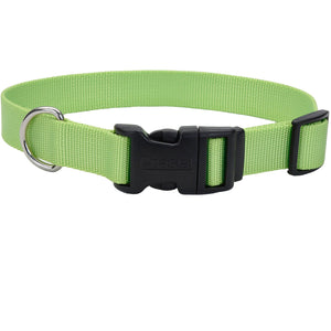 Coastal Adjustable Collar with Plastic Buckle for Dogs, Lime