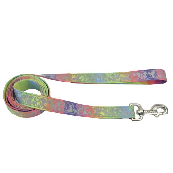 Lazer Brite Patterned Dog Leash, Rainbow Hearts