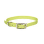 Coastal Collier simple épaisseur pour chien, vert citron.