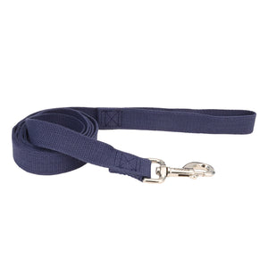 New Earth Soy Dog Leash, Indigo