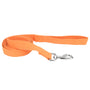New Earth Soy Dog Leash, Pumpkin