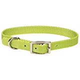 Coastal Double-Ply Dog Collar, Lime