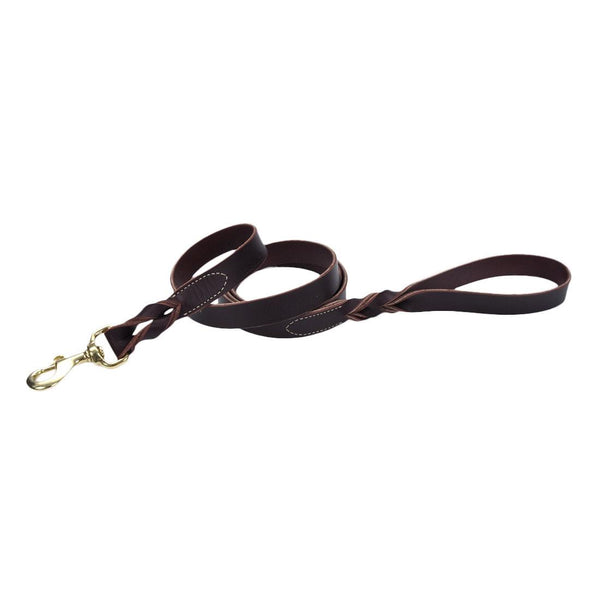 Circle T Latigo Leather Twist with Solid Brass Hardware Dog Leash