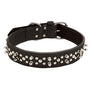 Circle T Oak Tanned Leather Double-Ply Spiked Dog Collar, Black