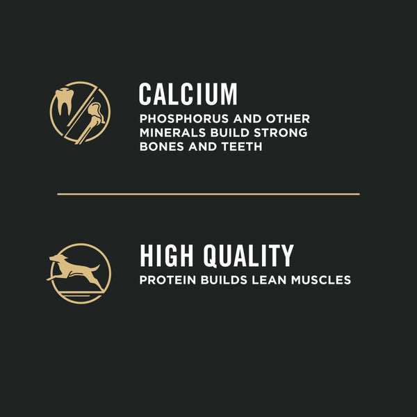 Purina Pro Plan Shredded Blend Chicken & Rice Puppy Dry Dog Food