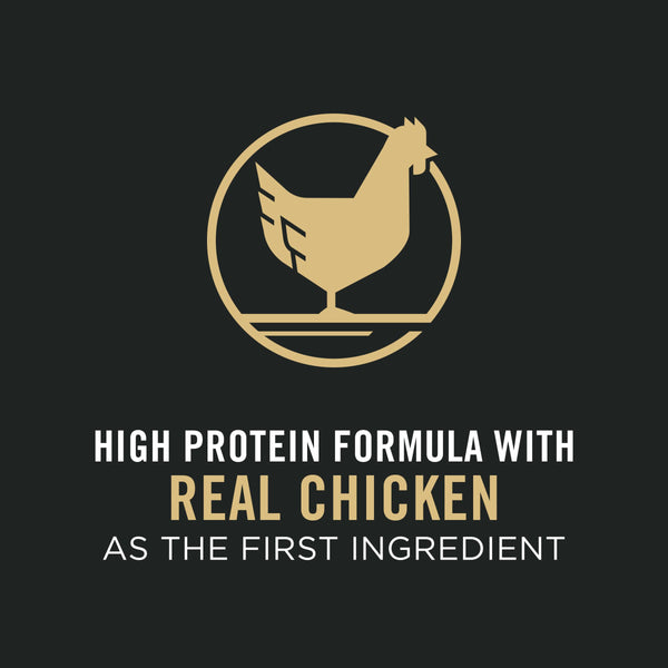 Purina Pro Plan Shredded Blend Chicken & Rice Adult Small Breed Dry Dog Food