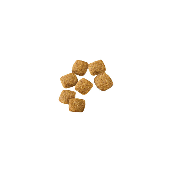 Purina Pro Plan Weight Management Chicken & Rice Adult Dry Dog Food