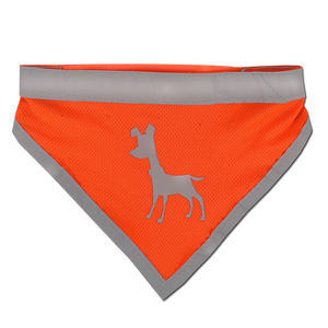 Alcott High Visibility Dog Bandana, Orange