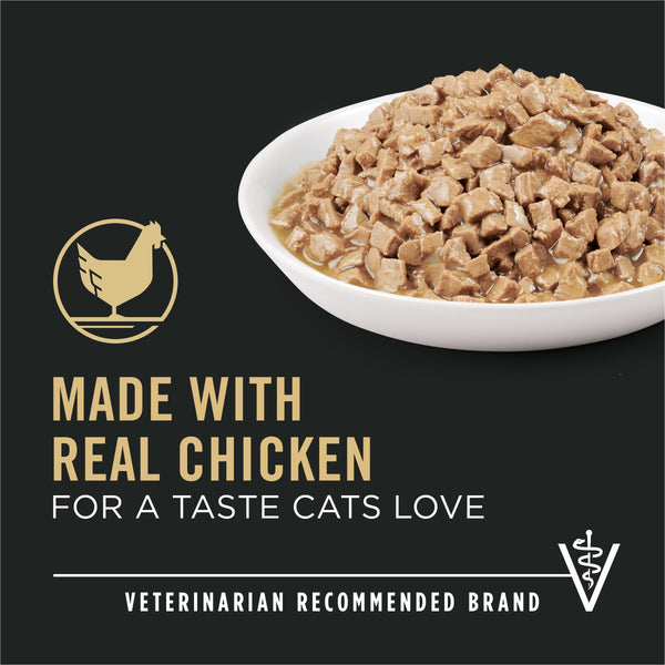 Purina Pro Plan Focus Formule santé urinaire adulte au poulet en sauce pâtée pour chats