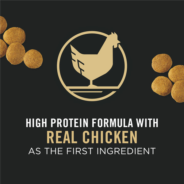 Purina Pro Plan Focus Nourriture sèche pour chiens adultes grande race