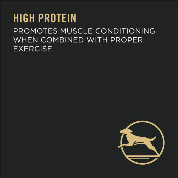 Purina Pro Plan Focus Nourriture sèche pour chiens adultes grande race