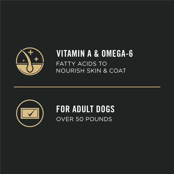 Purina Pro Plan Focus Nourriture sèche pour chiens adultes grande race