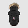 Canada Pooch North Pole Dog Parka, Black