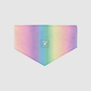 Canada Pooch Cooling Dog Bandana, Rainbow