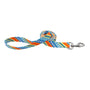 Styles Dog Leash, Resolve