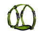 Alcott Adventure Adjustable Dog Harness, Green