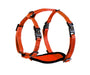 Alcott Adventure Adjustable Dog Harness, Neon Orange